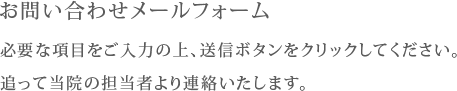 お問い合わせメールフォーム　必要な項目をご入力の上、送信ボタンをクリックしてください。追って当院の担当者より連絡いたします。