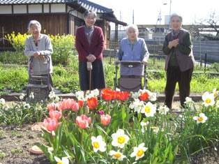 花壇?