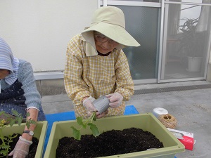 H26.5　ベランダ菜園②