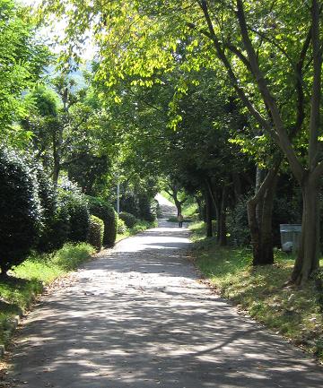 遊歩道