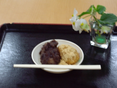 IMGP8621.JPG