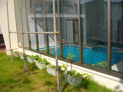 IMGP1398.JPG
